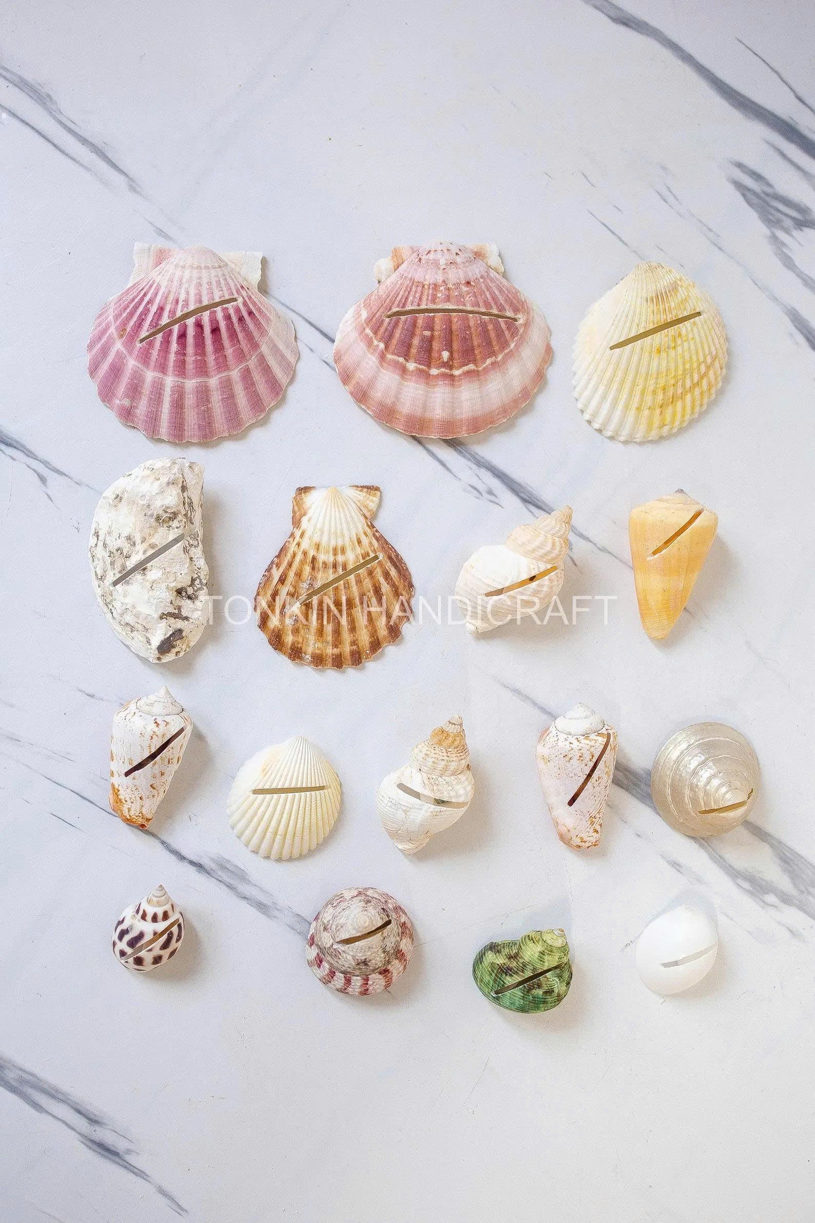 Seashell Place Card 1