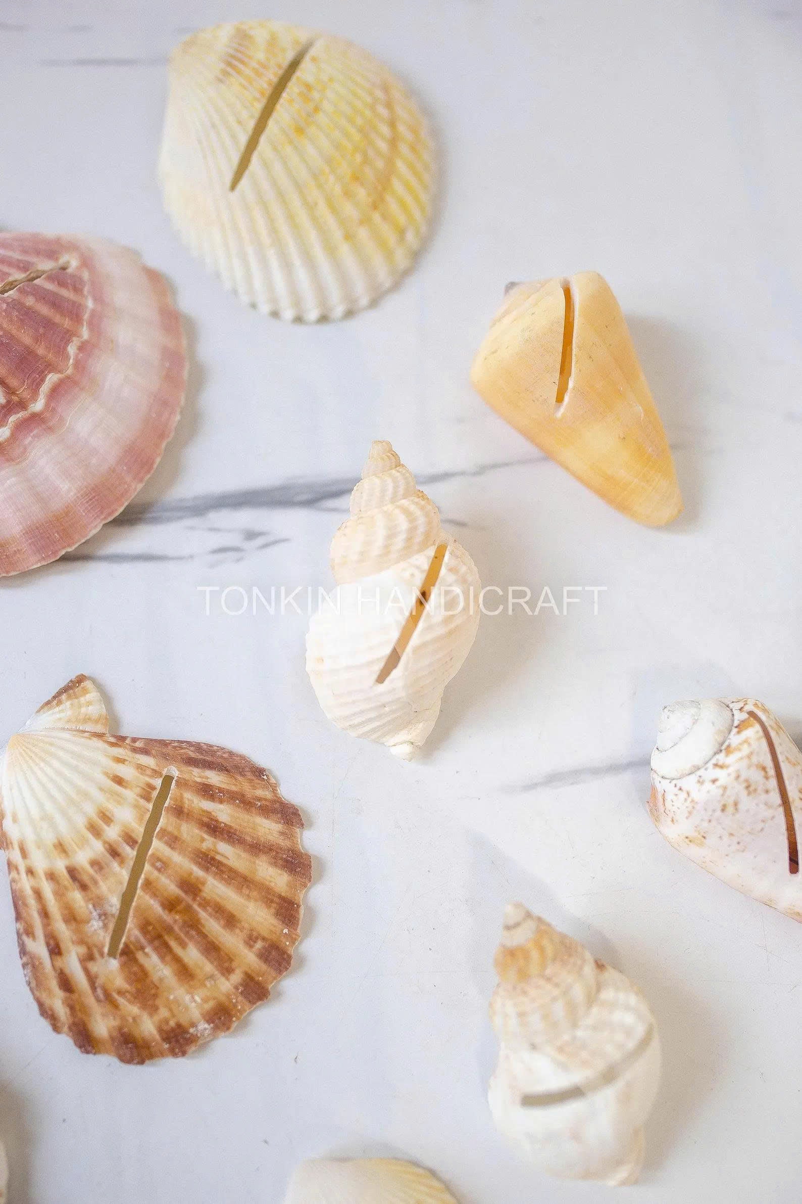 Seashell Place Card 1