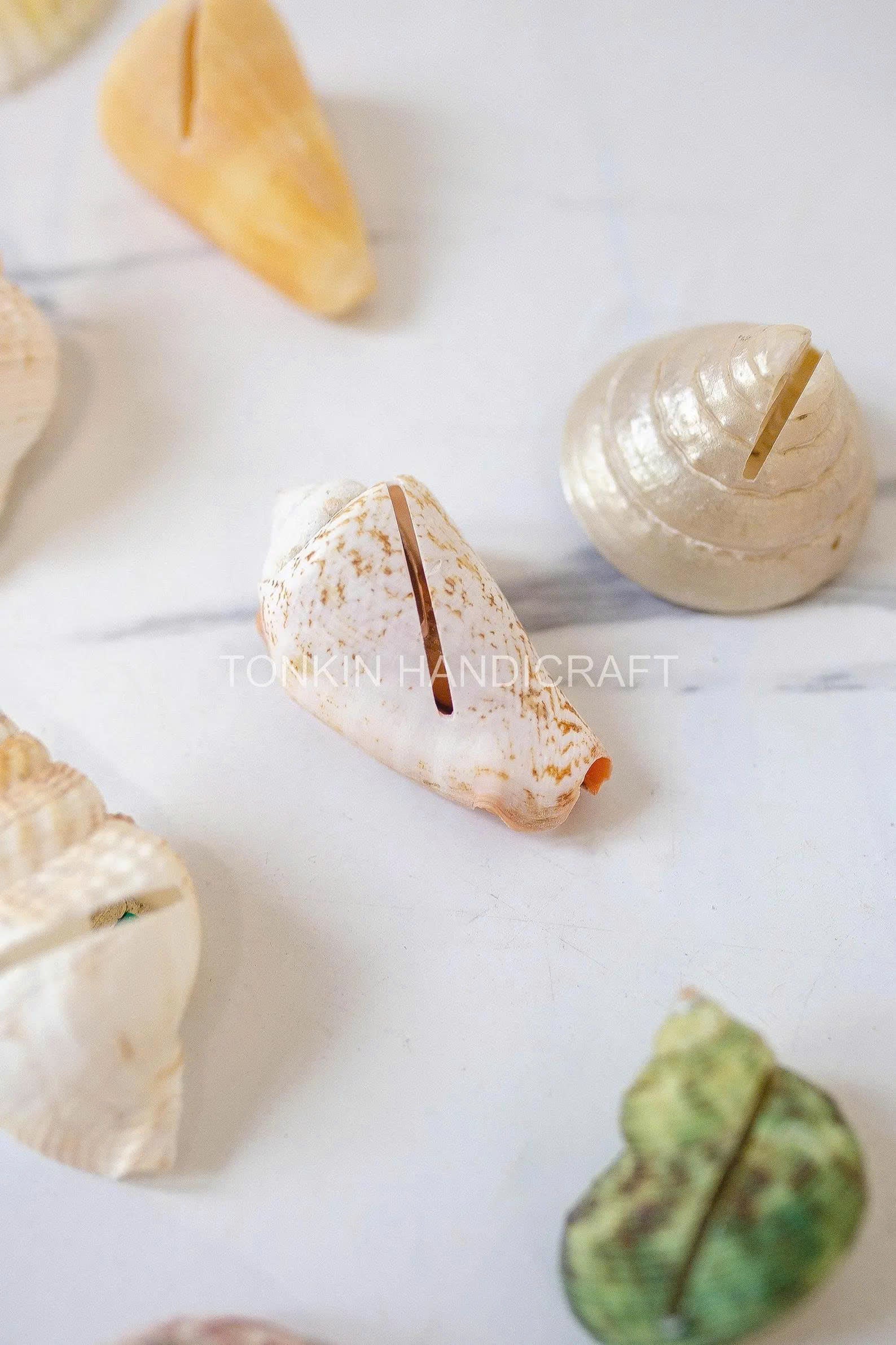 Seashell Place Card 1