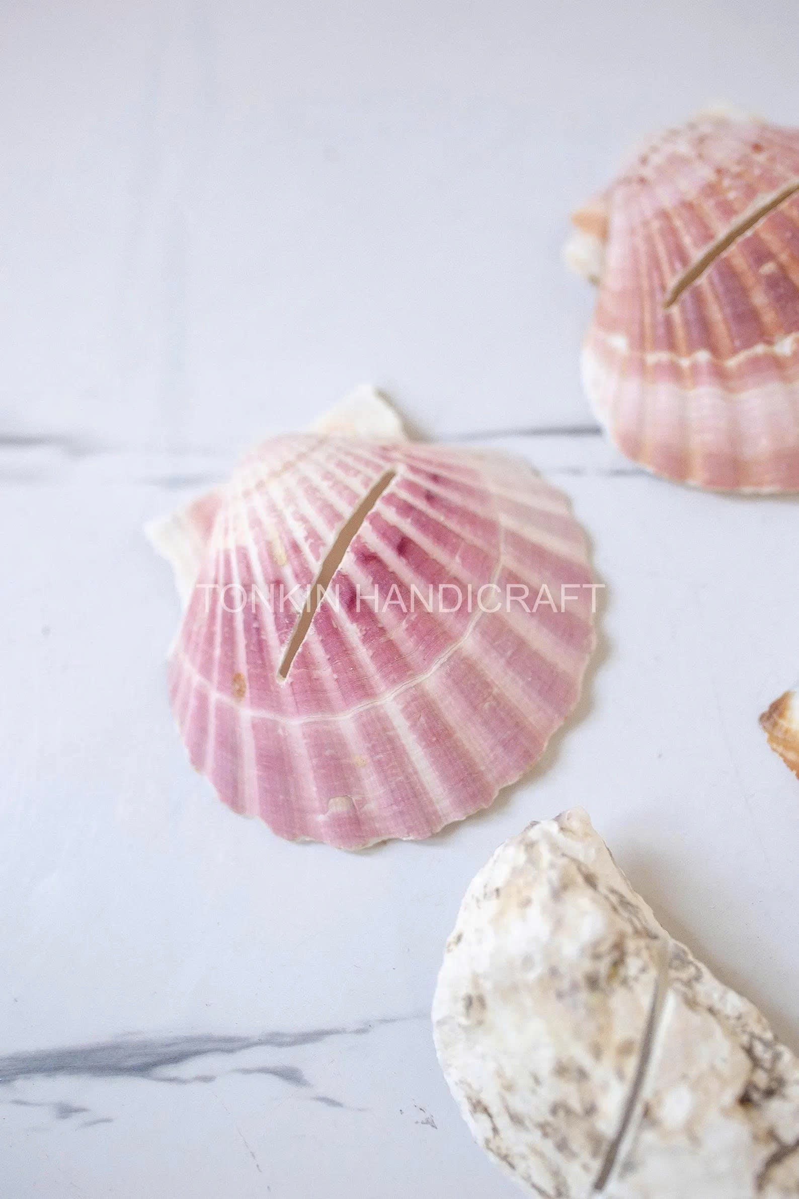Seashell Place Card 1