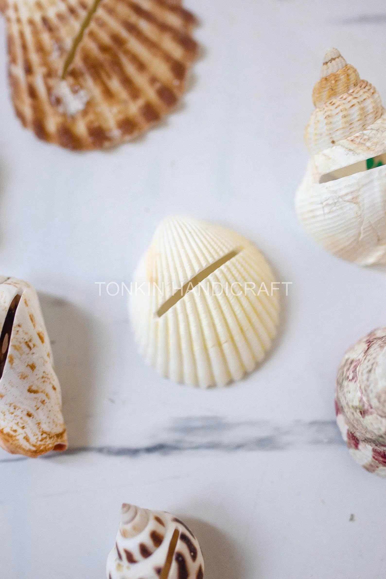 Seashell Place Card 1