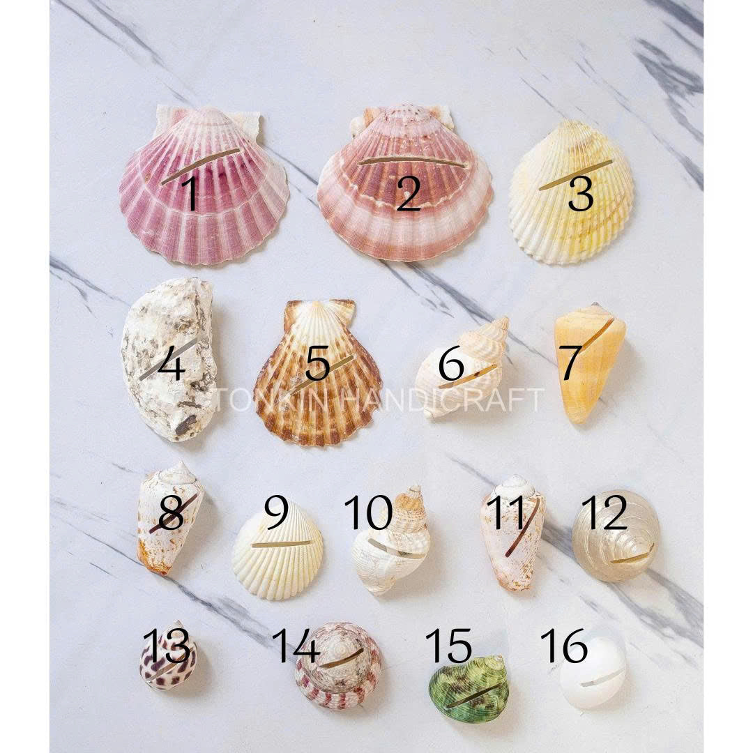 Seashell Place Card 1