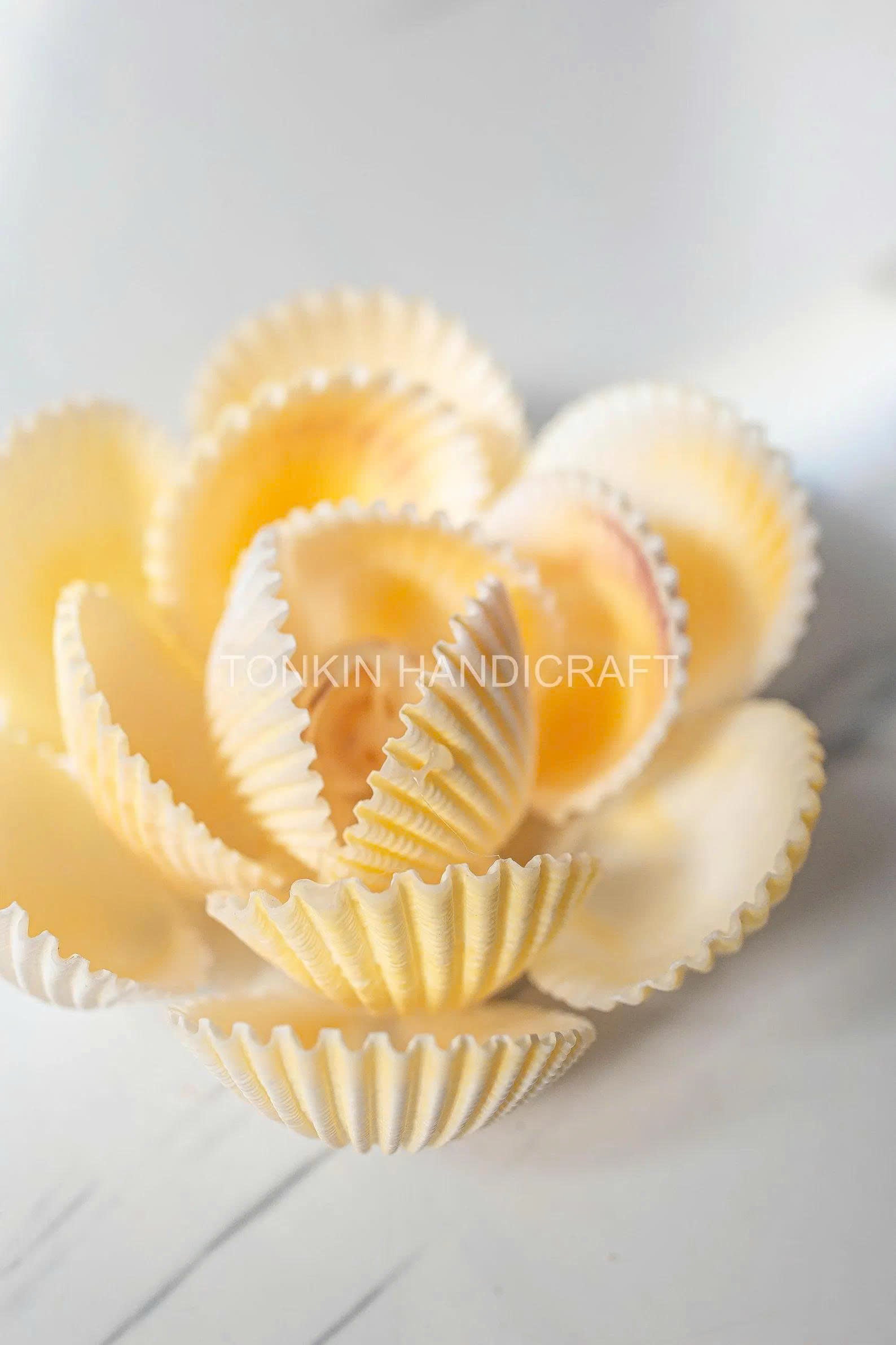 Seashell Flower 1