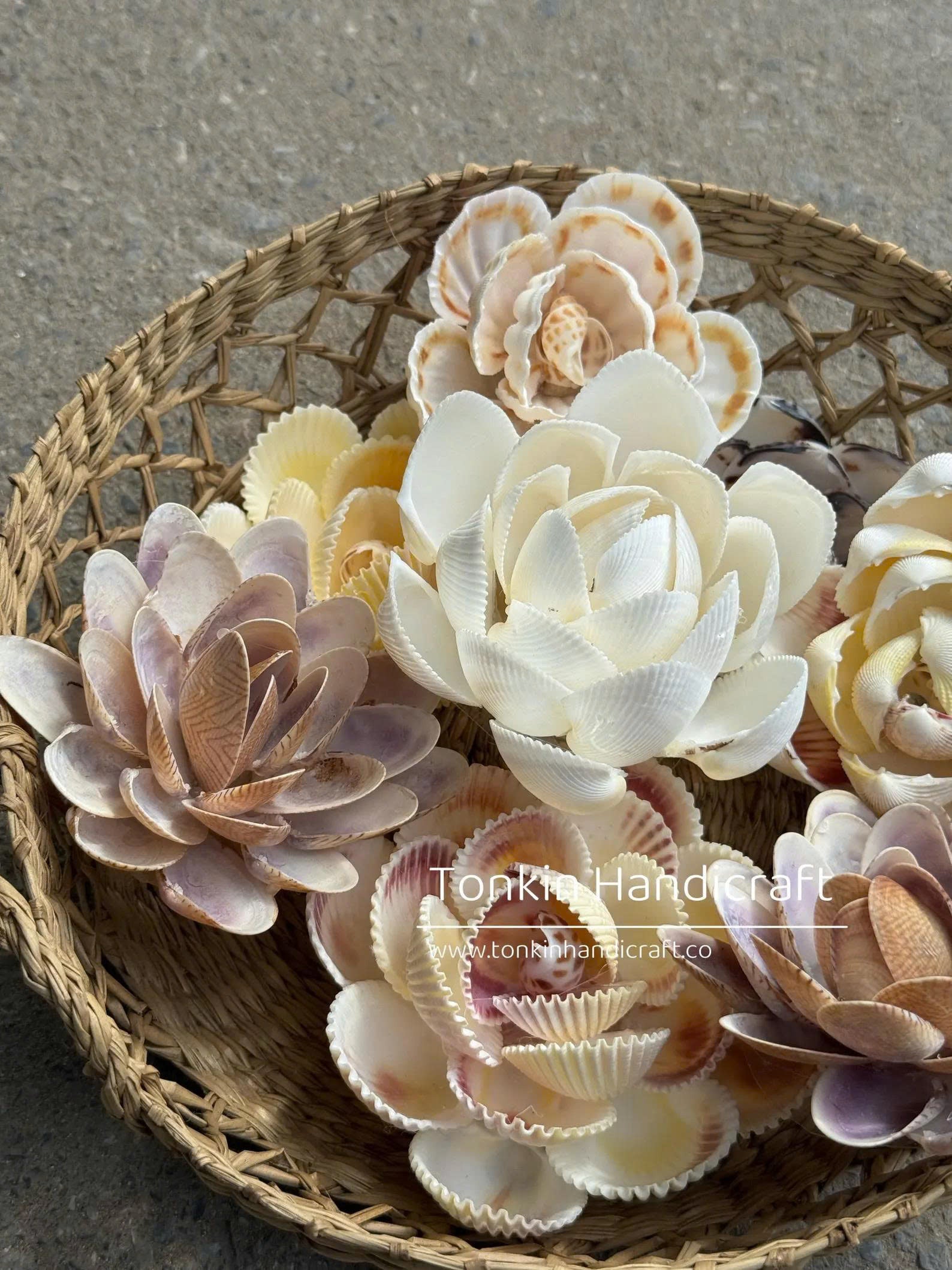 Seashell Flower 1