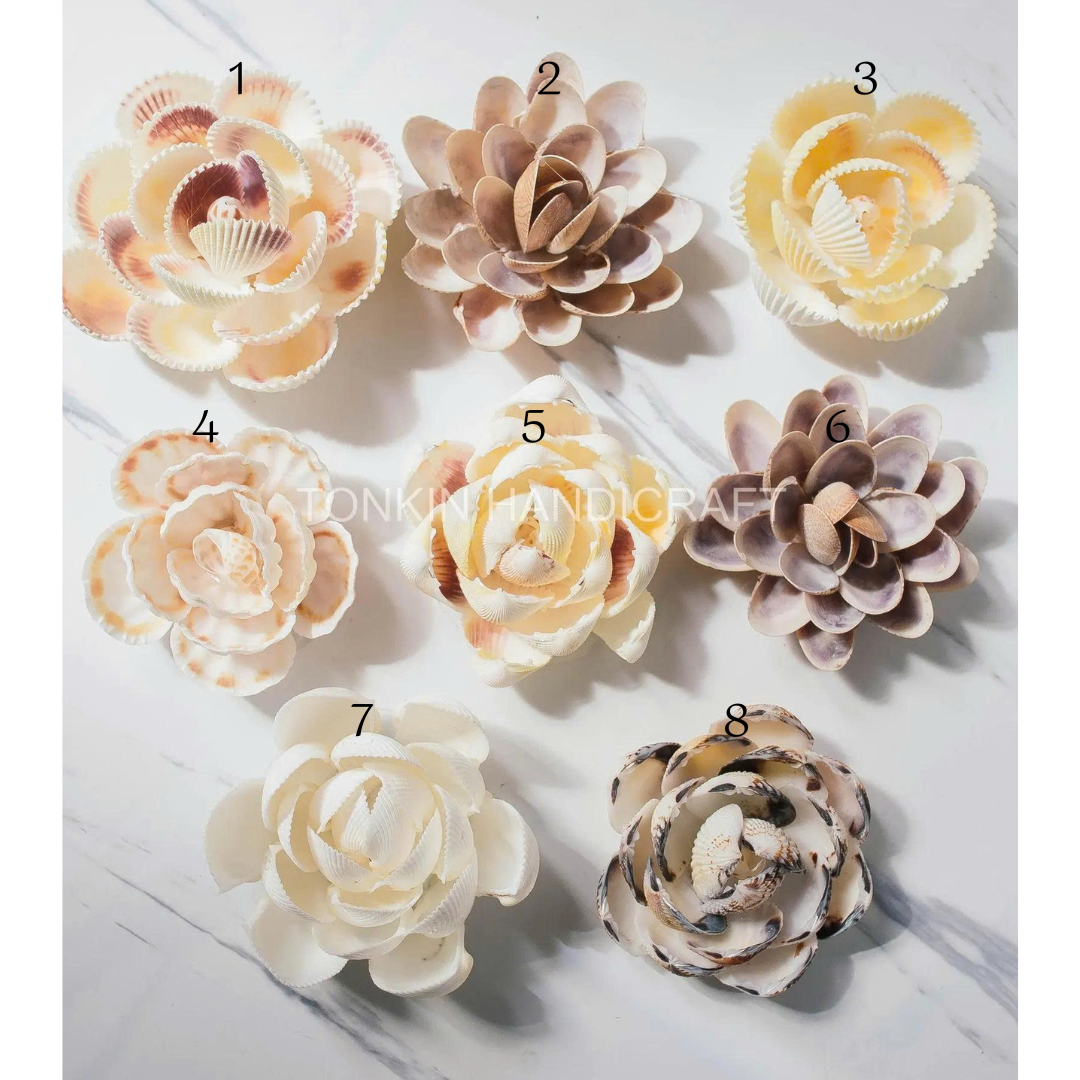 Seashell Flower 1