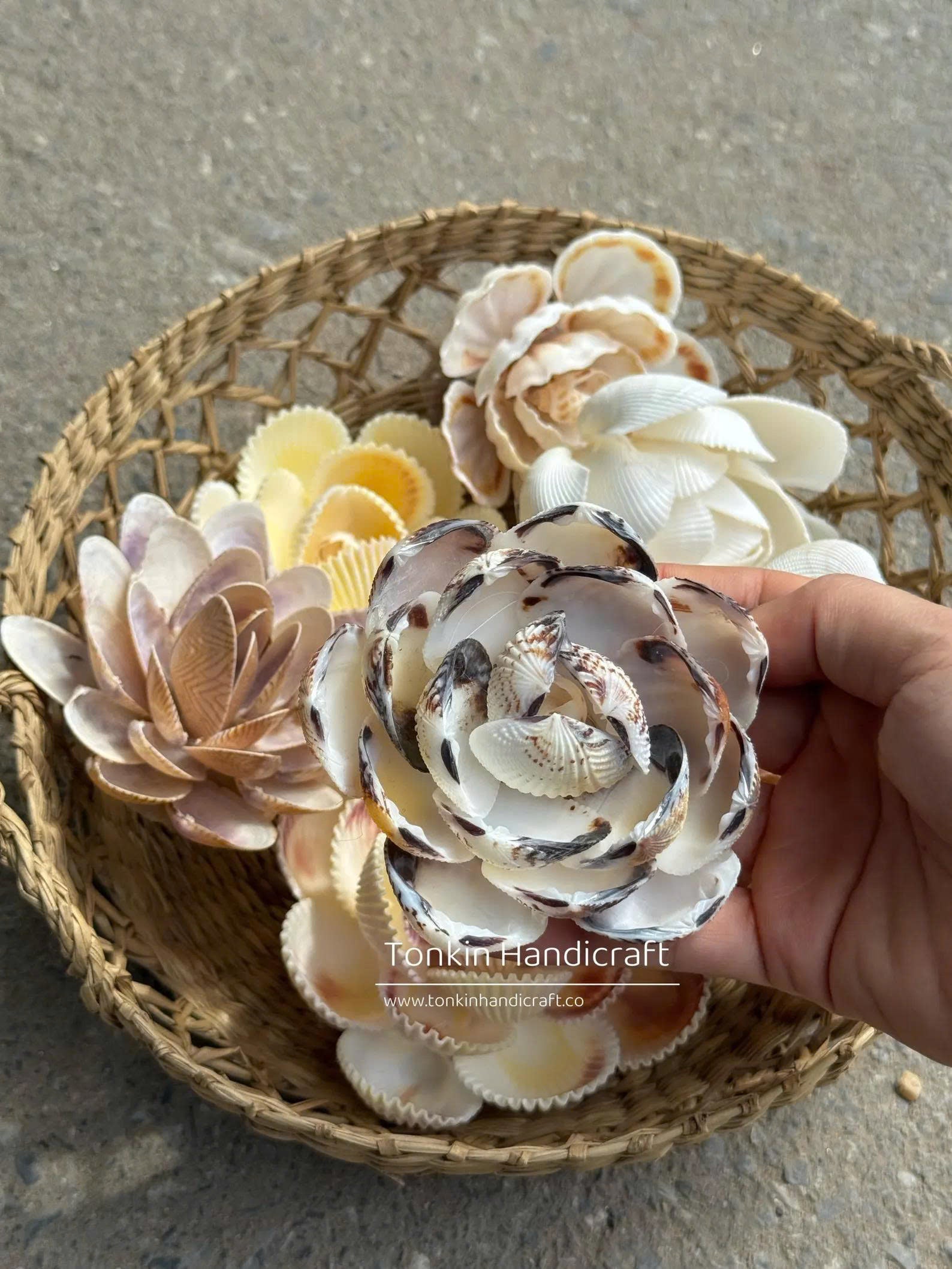 Seashell Flower 1