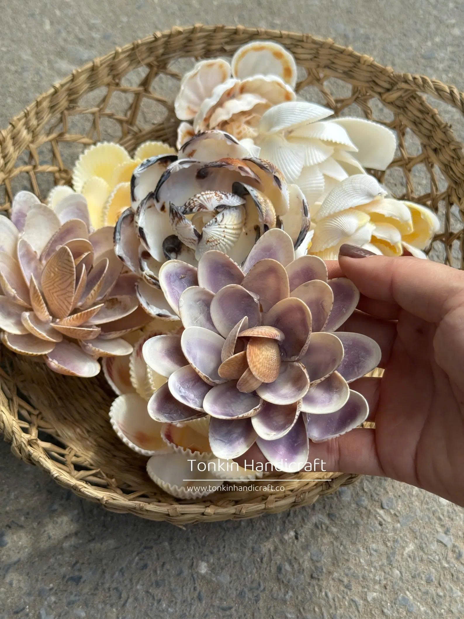 Seashell Flower 1