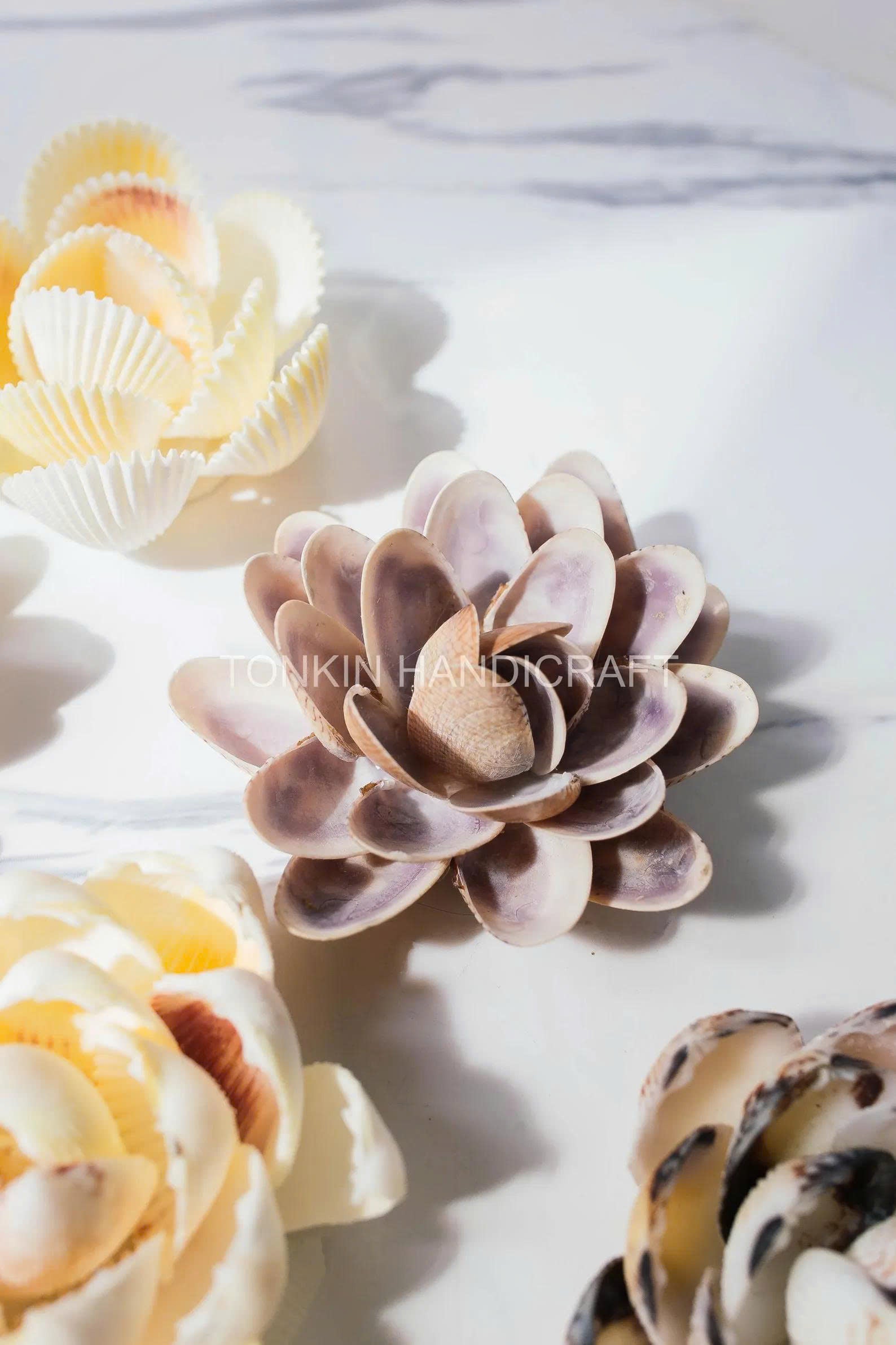 Seashell Flower 1