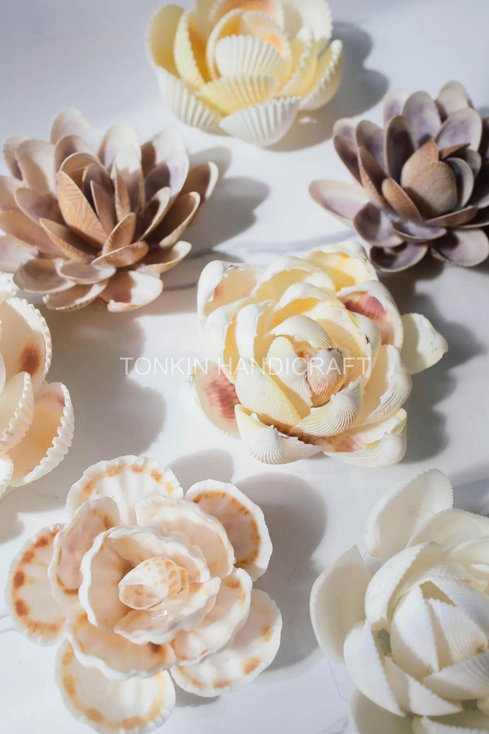 Seashell Flower 1