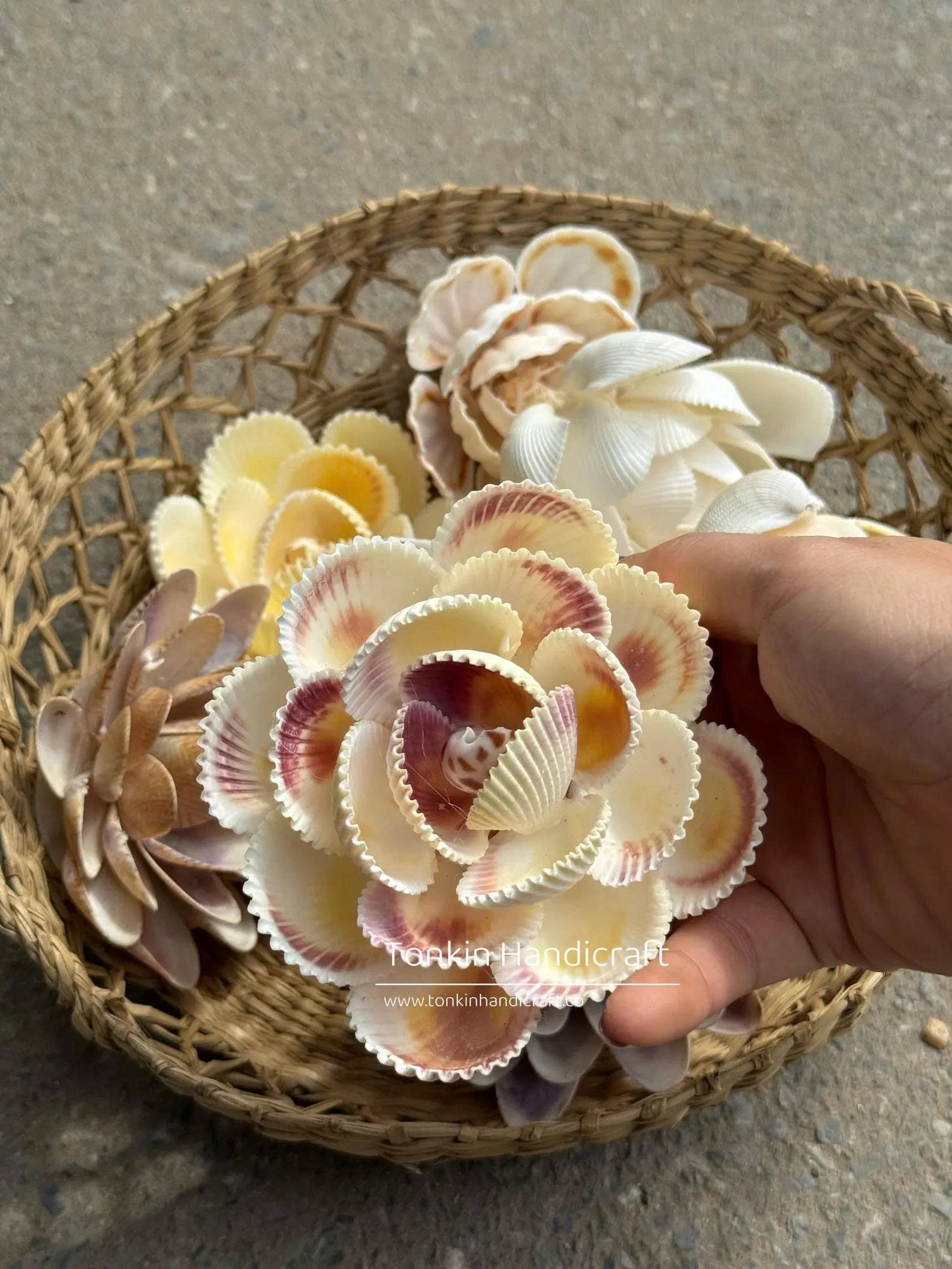 Seashell Flower 1