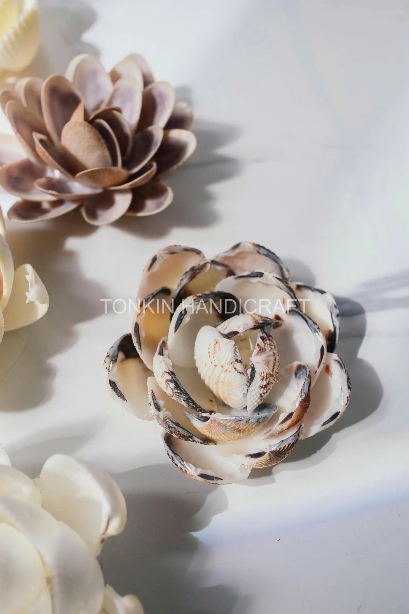 Seashell Flower 1