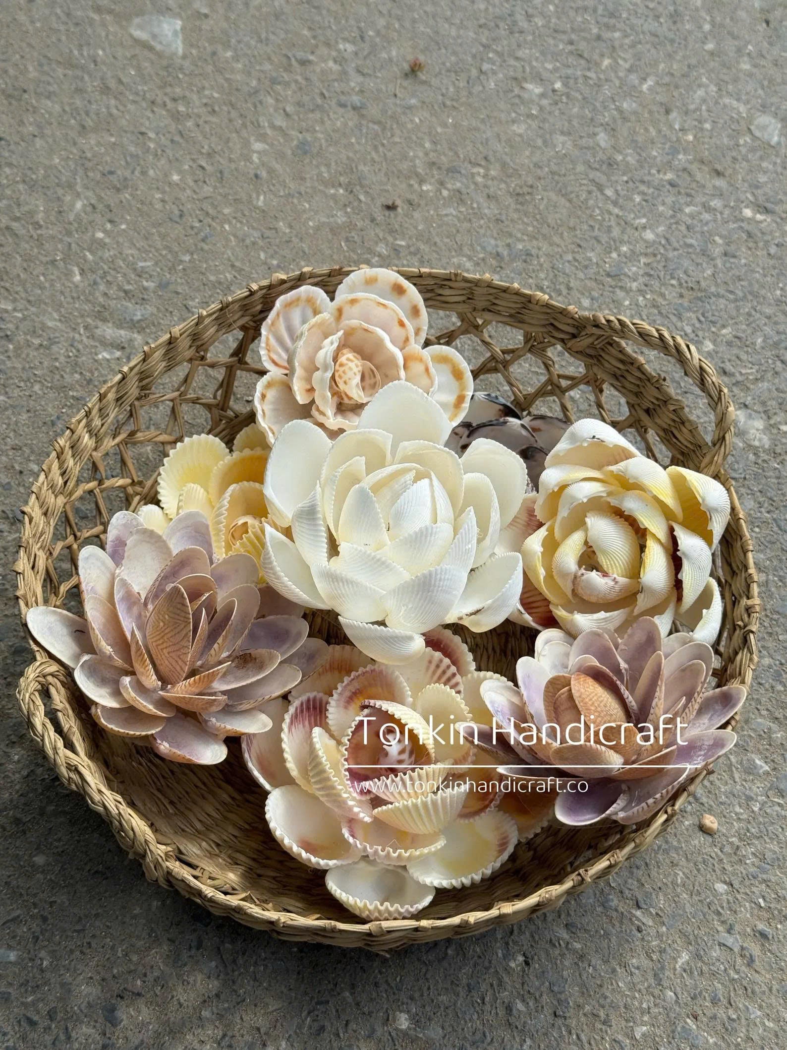 Seashell Flower 1