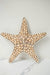 Star Shell Wall Hanging - TONKIN HANDICRAFT