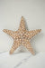 Star Shell Wall Hanging - TONKIN HANDICRAFT