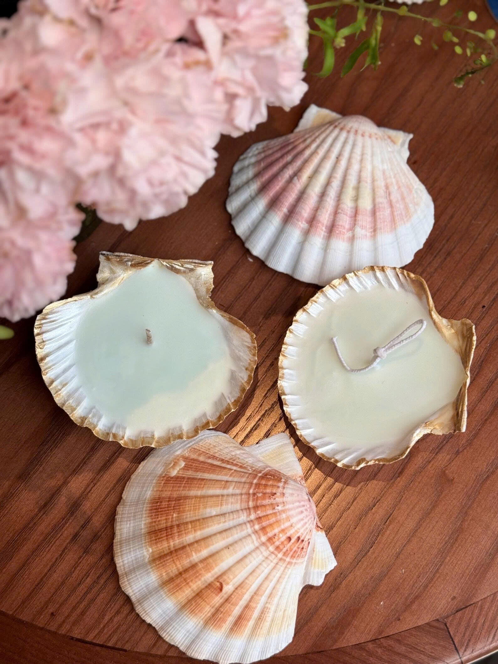 Seashell Soy Candle - TONKIN HANDICRAFT