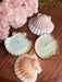 Seashell Soy Candle - TONKIN HANDICRAFT