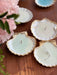 Seashell Soy Candle - TONKIN HANDICRAFT