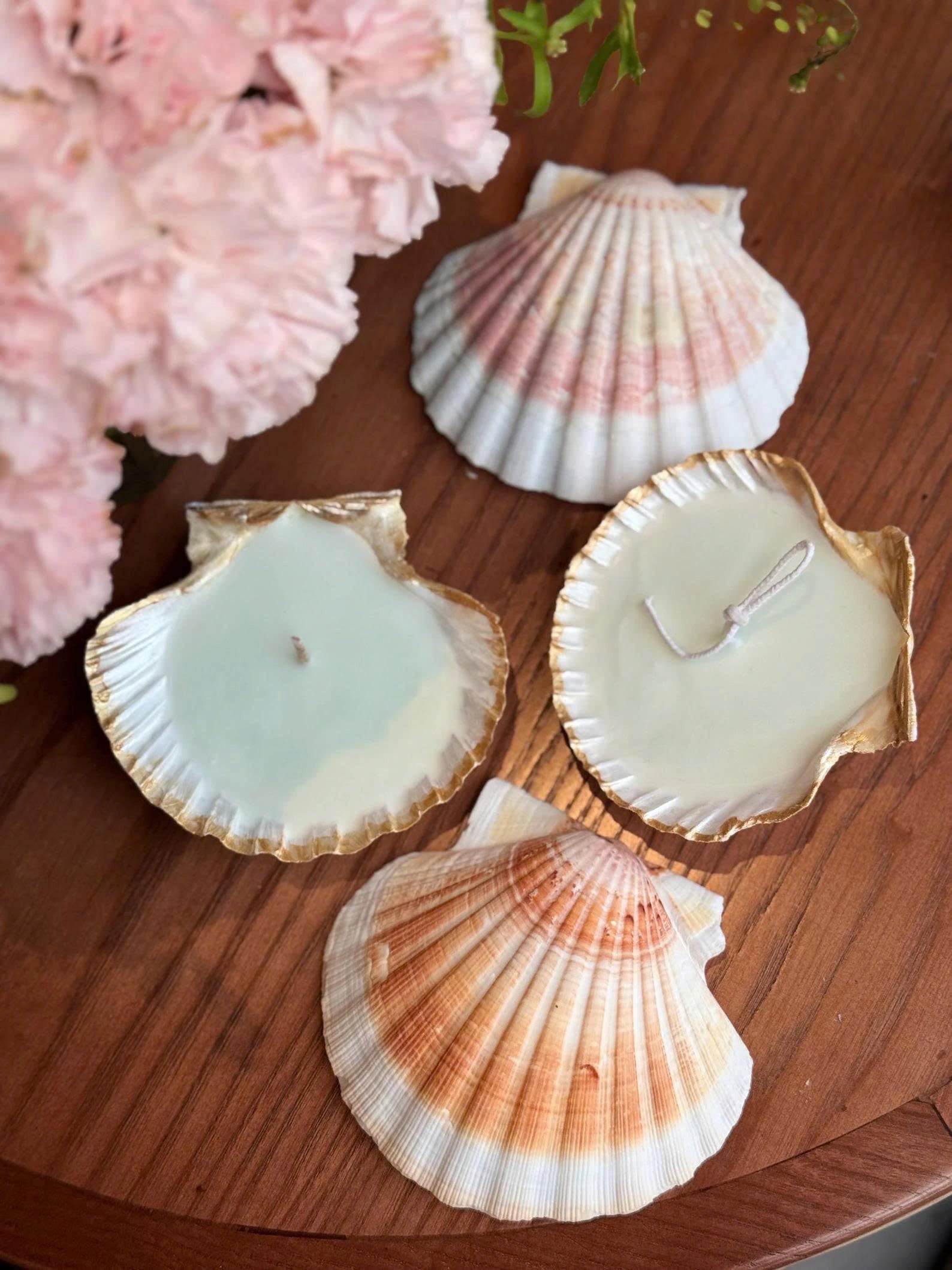 Seashell Soy Candle - TONKIN HANDICRAFT