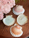 Seashell Soy Candle - TONKIN HANDICRAFT
