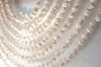 Shell Wall Hanging 6 - TONKIN HANDICRAFT