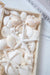 Natural Mixed Shell Vase Filler 3 - TONKIN HANDICRAFT