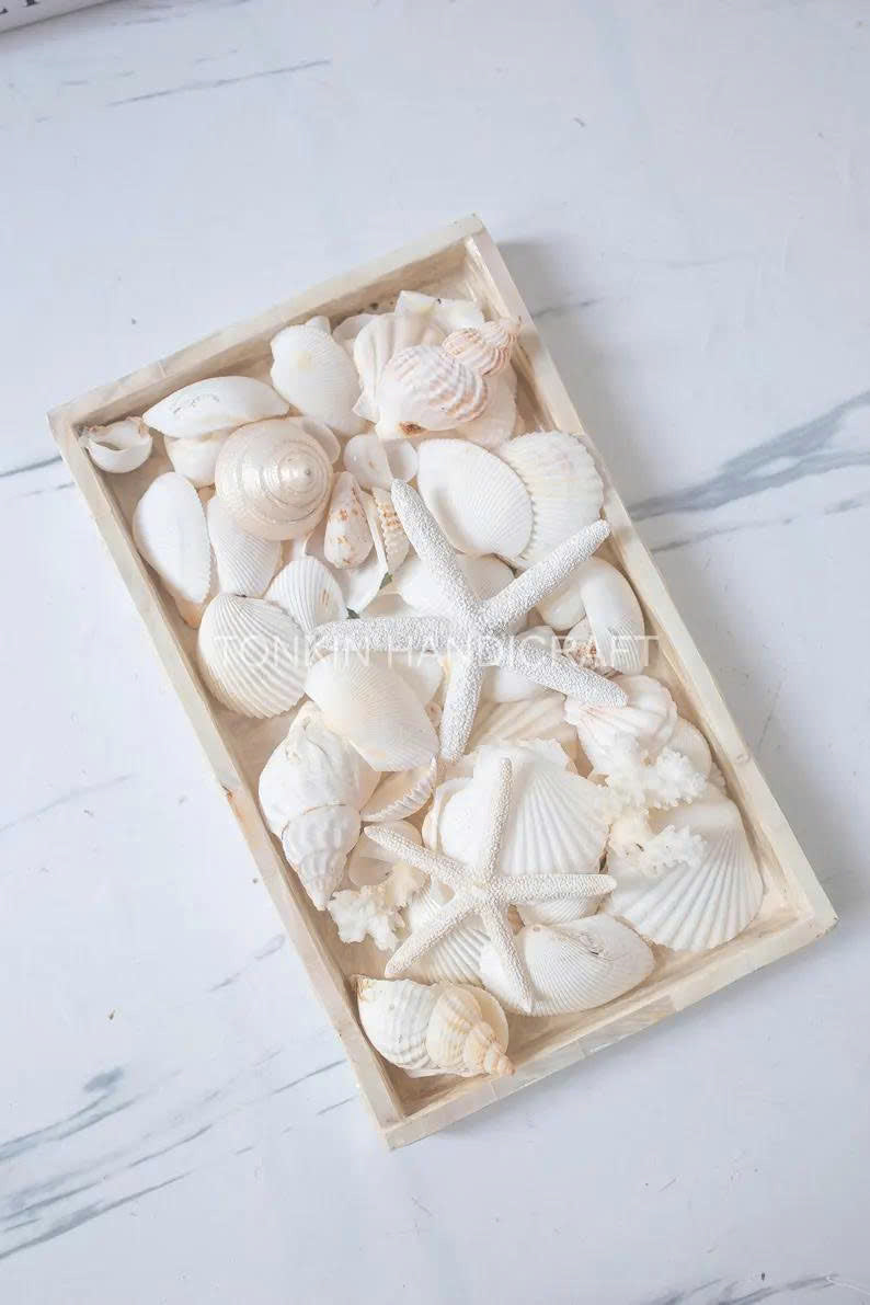 Natural Mixed Shell Vase Filler 3 - TONKIN HANDICRAFT
