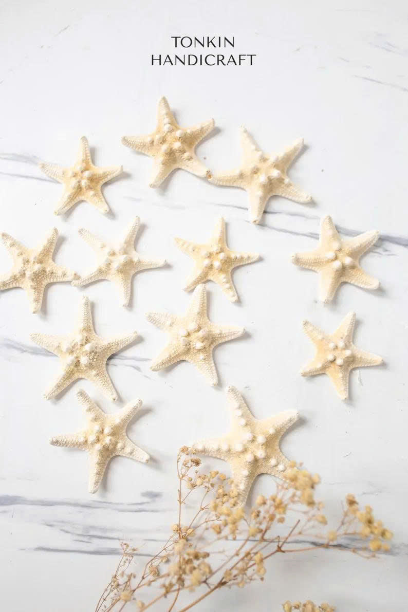 Small Starfish - TONKIN HANDICRAFT