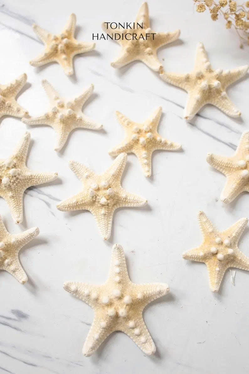 Small Starfish - TONKIN HANDICRAFT