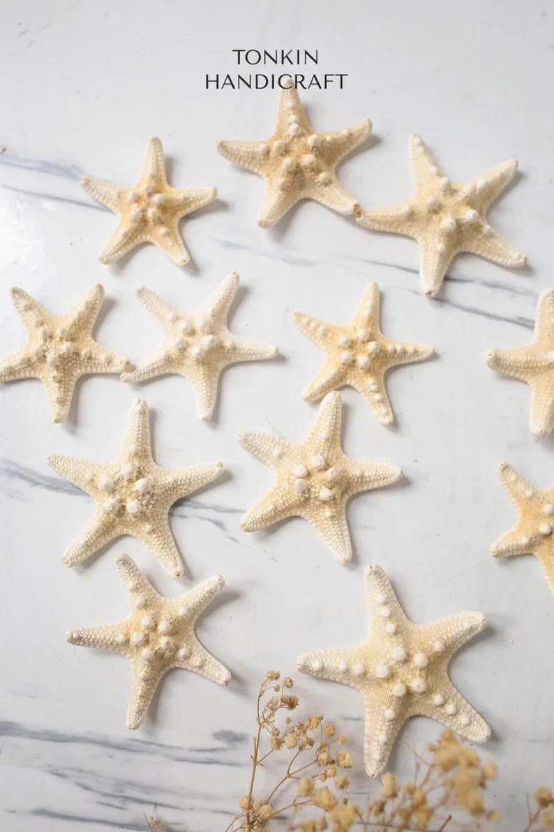 Small Starfish - TONKIN HANDICRAFT