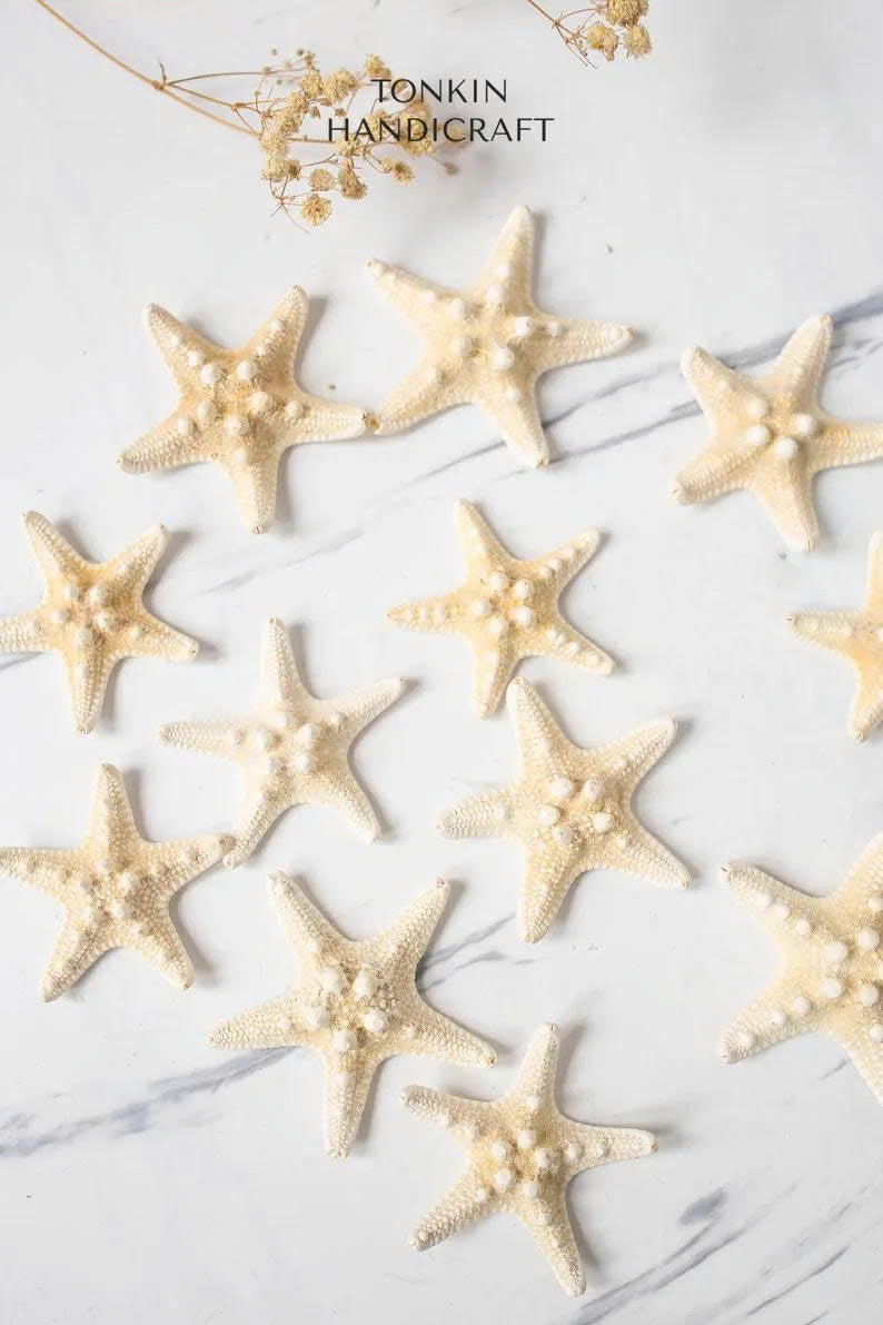 Small Starfish - TONKIN HANDICRAFT