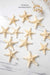 Small Starfish - TONKIN HANDICRAFT