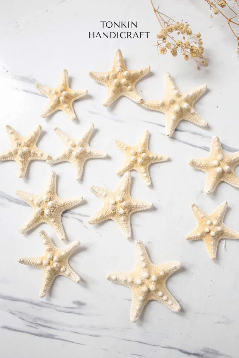 Small Starfish - TONKIN HANDICRAFT