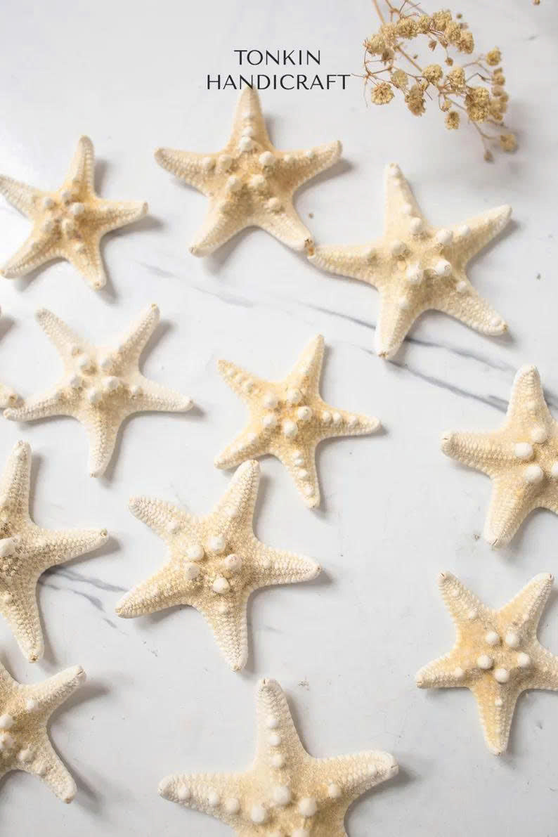 Small Starfish - TONKIN HANDICRAFT