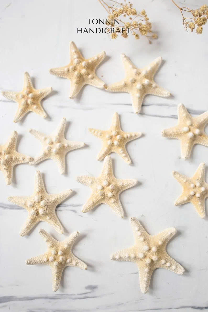 Small Starfish - TONKIN HANDICRAFT