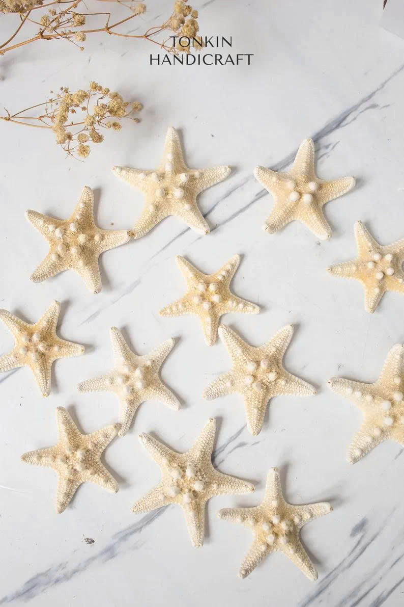 Small Starfish - TONKIN HANDICRAFT