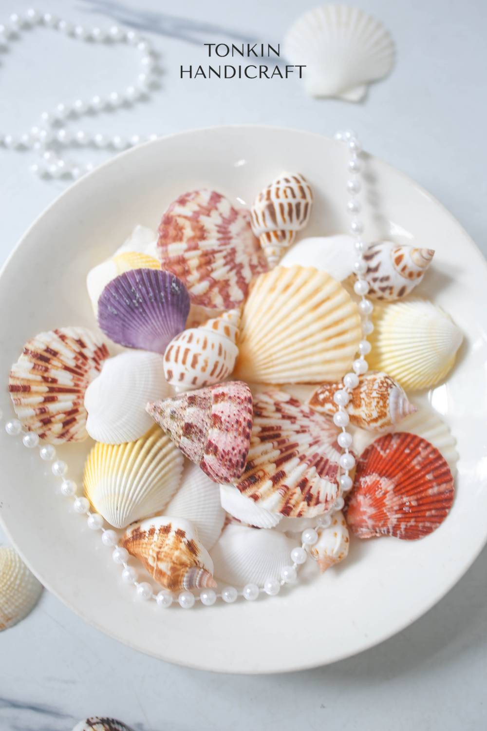 Natural Shell Vase Filler - Shell Craft