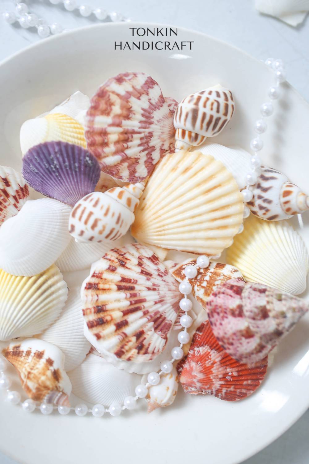 Natural Shell Vase Filler - Shell Craft