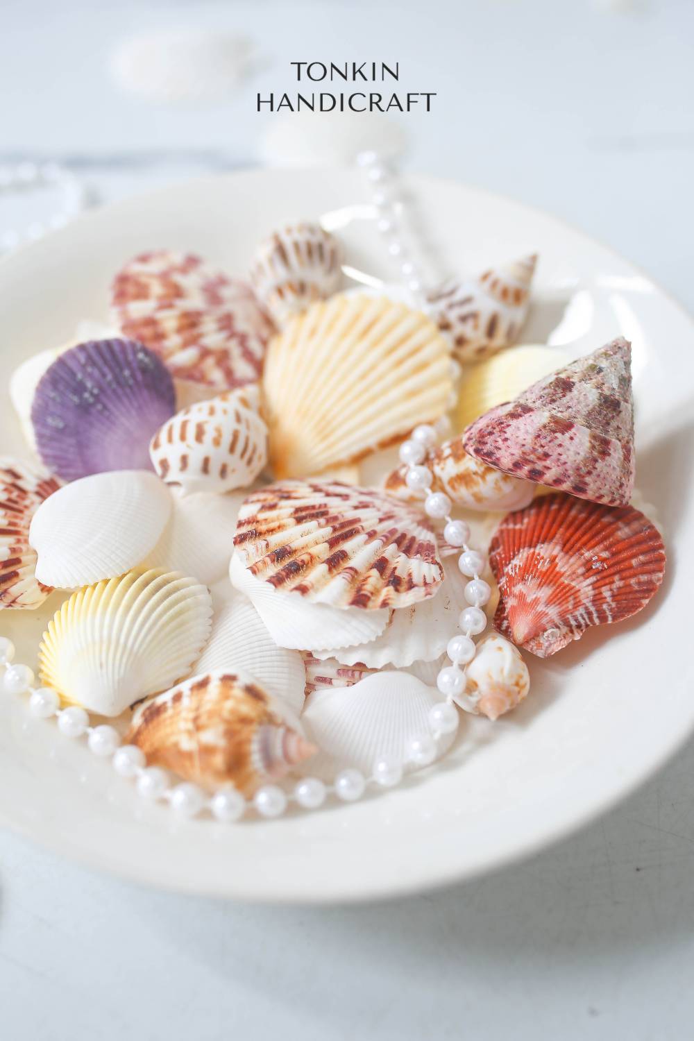 Natural Shell Vase Filler - Shell Craft