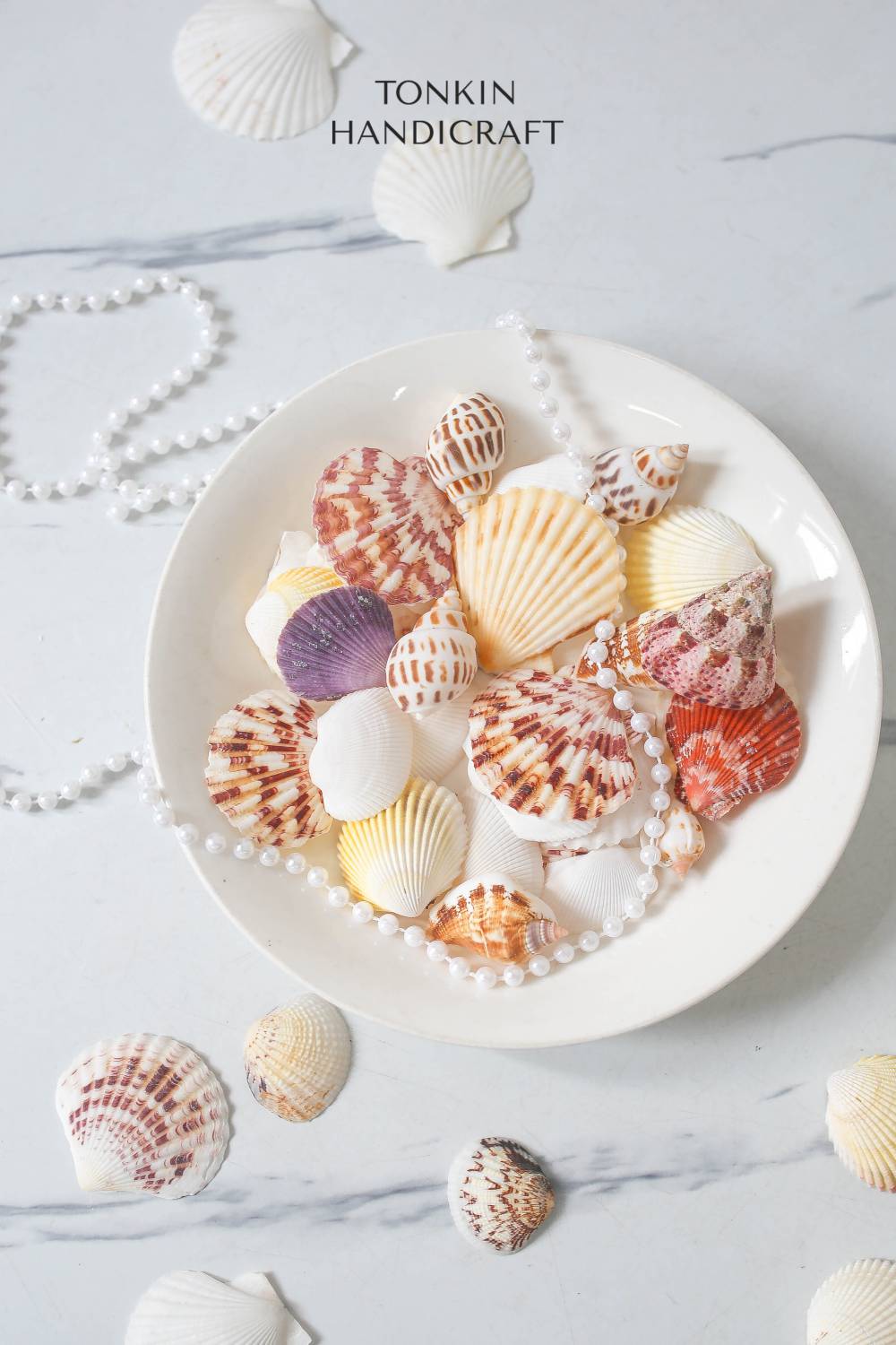 Natural Shell Vase Filler - Shell Craft