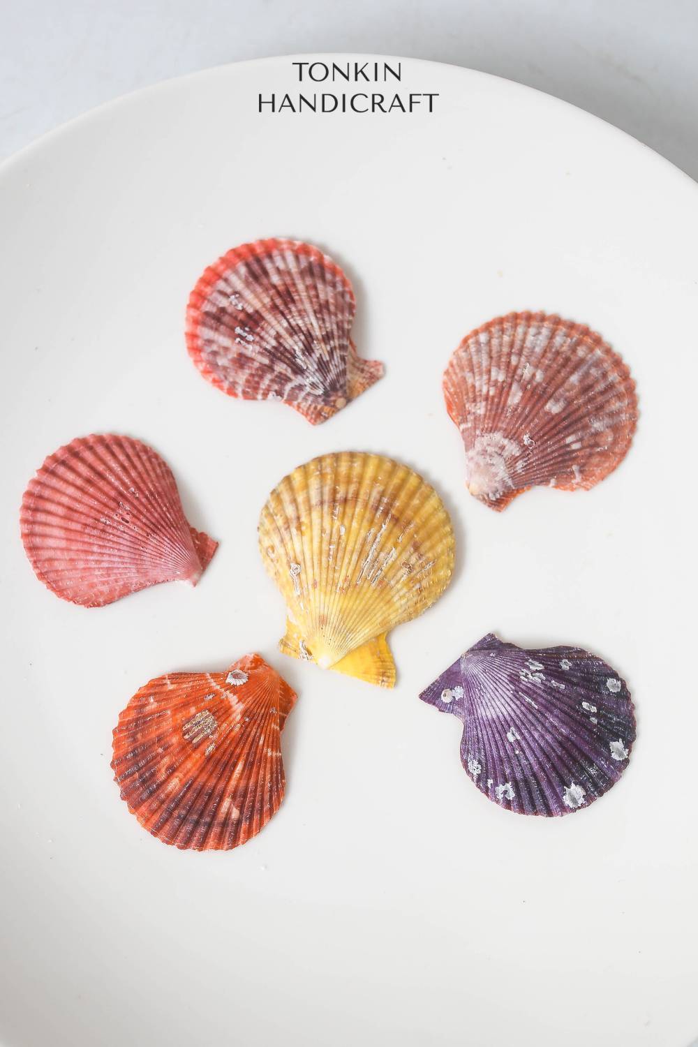 Bulk Natural Pectin Shell Craft