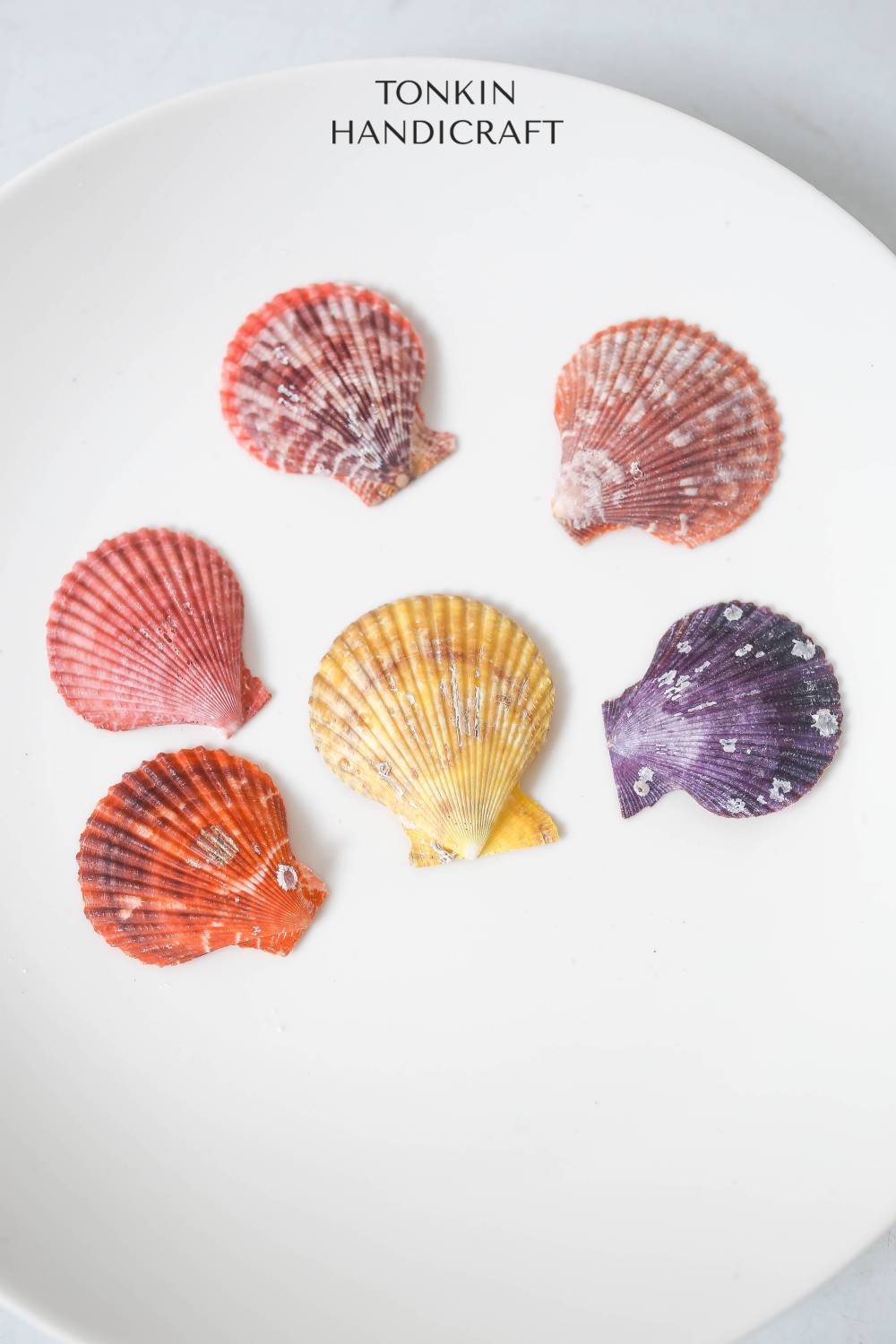 Bulk Natural Pectin Shell Craft