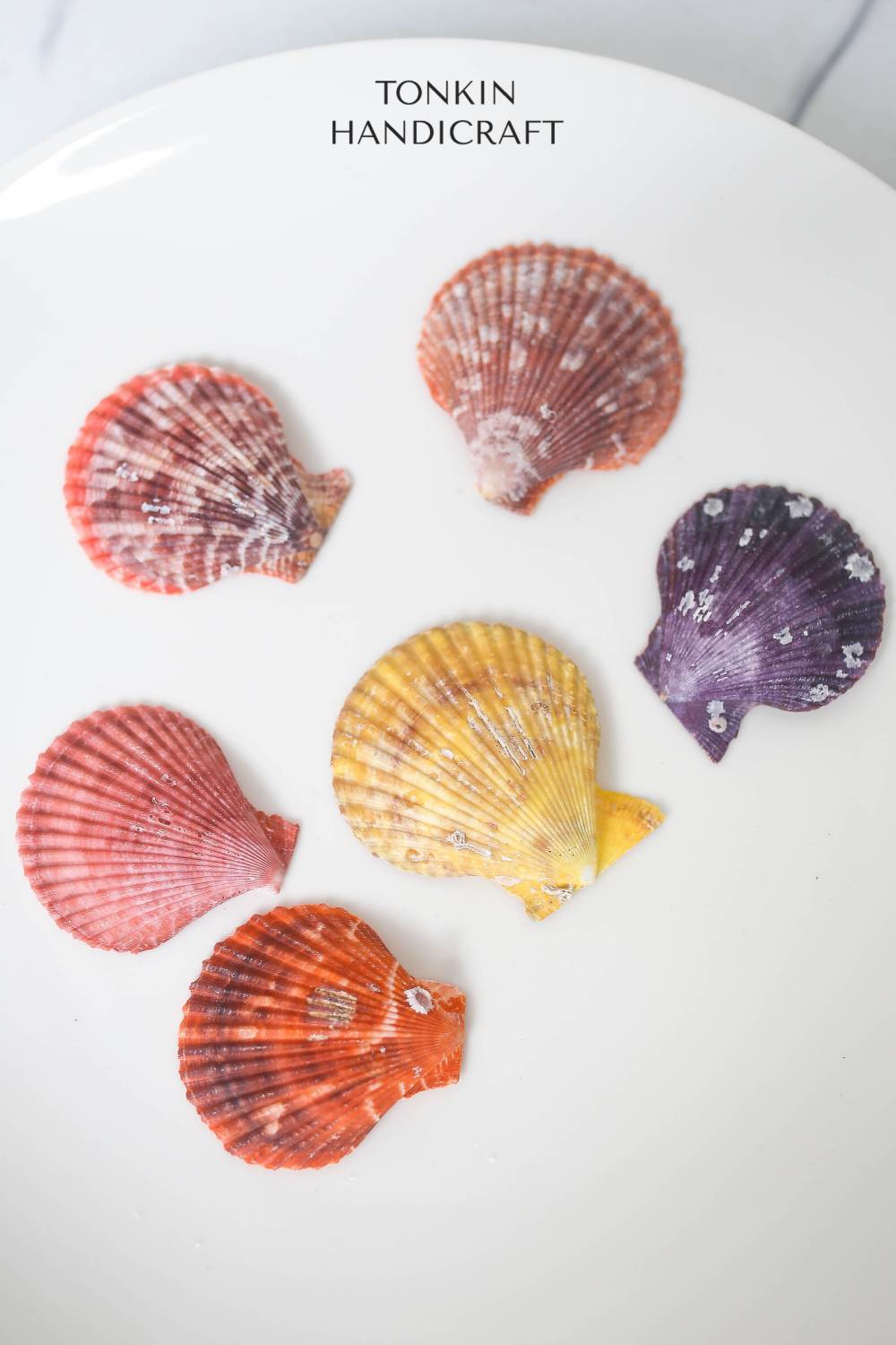 Bulk Natural Pectin Shell Craft