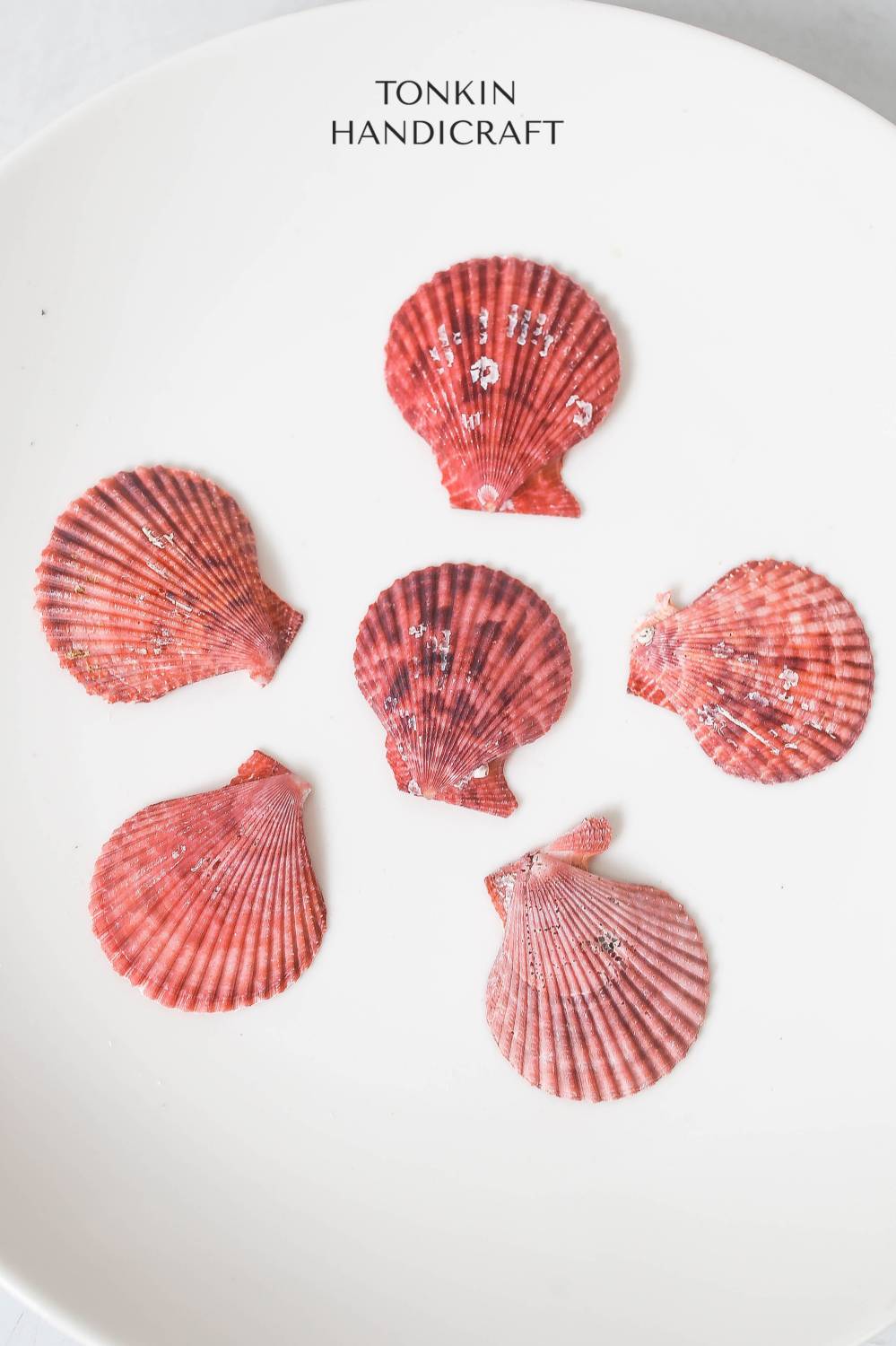 Bulk Natural Pectin Shell Craft