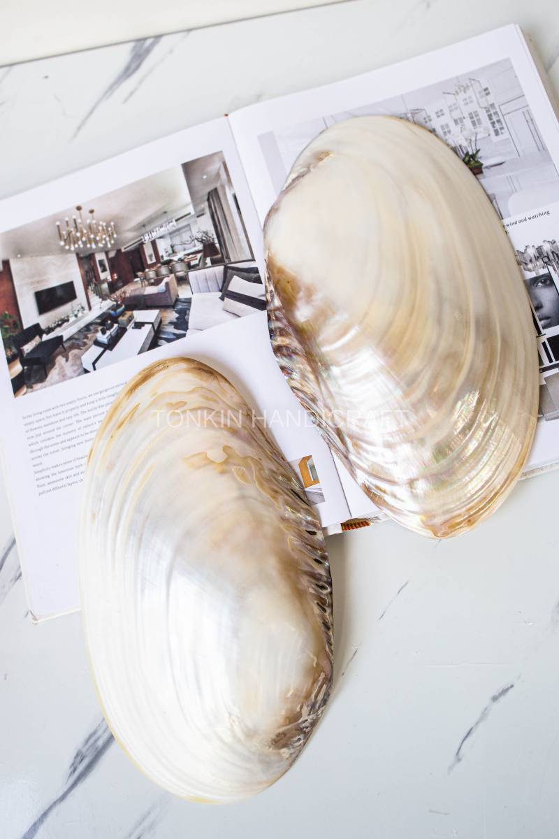 So Mother of Pearl Medium Seashell Plate