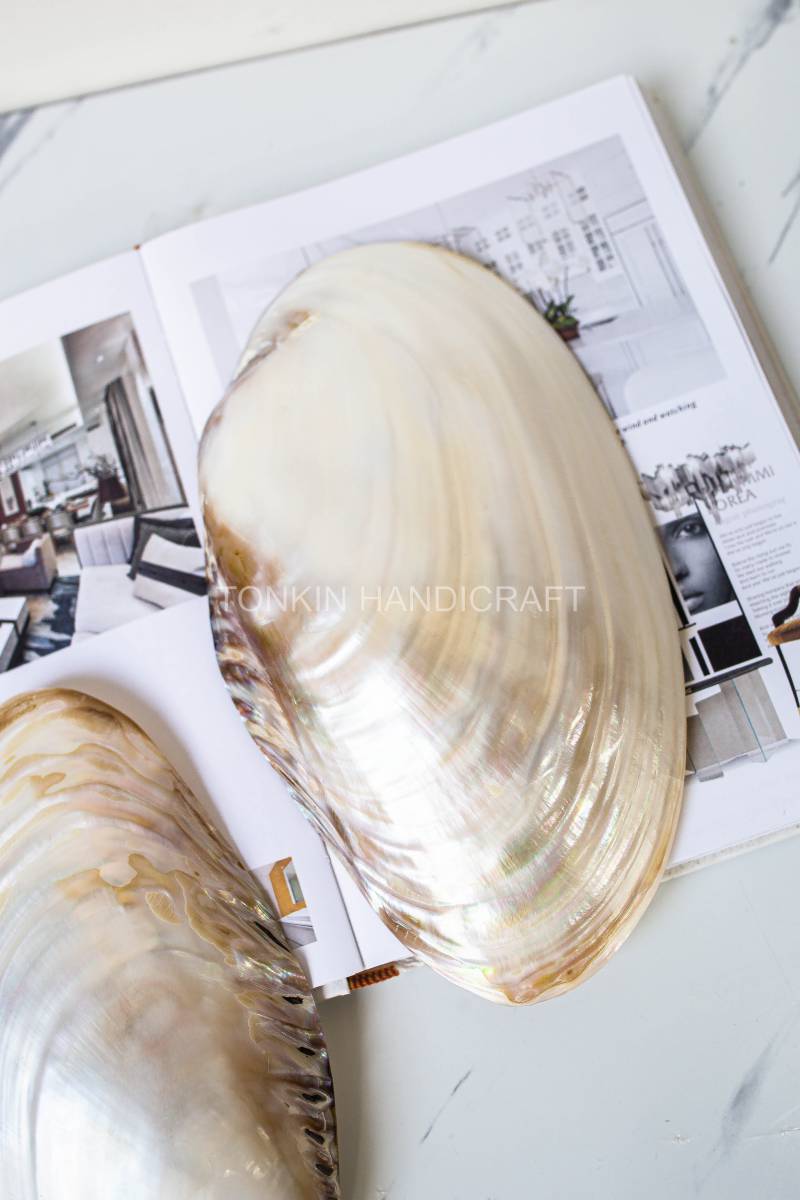 So Mother of Pearl Medium Seashell Plate