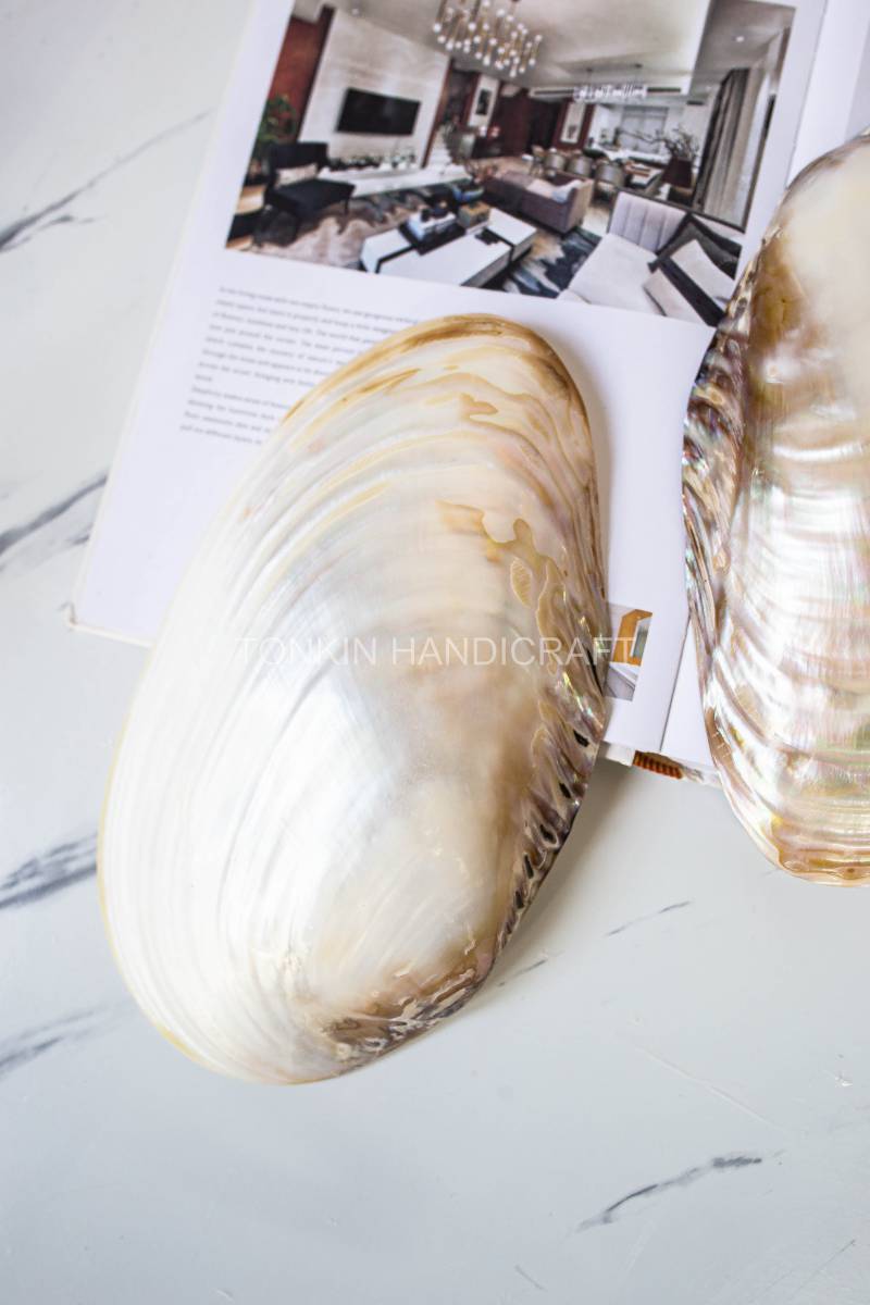 So Mother of Pearl Medium Seashell Plate