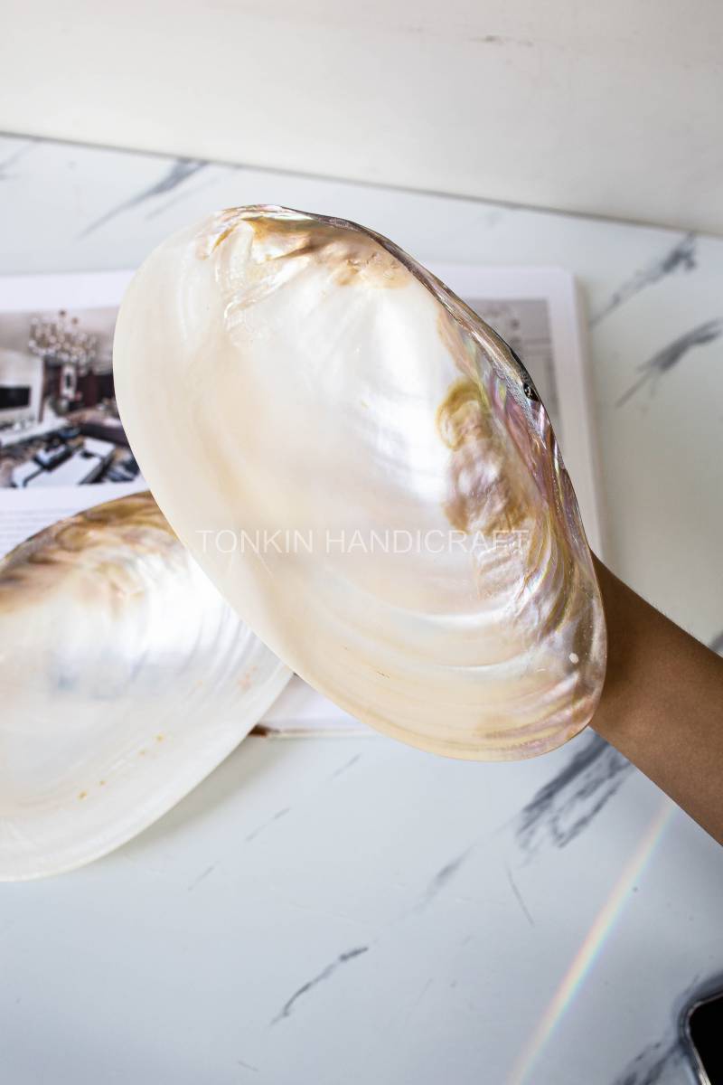 So Mother of Pearl Medium Seashell Plate