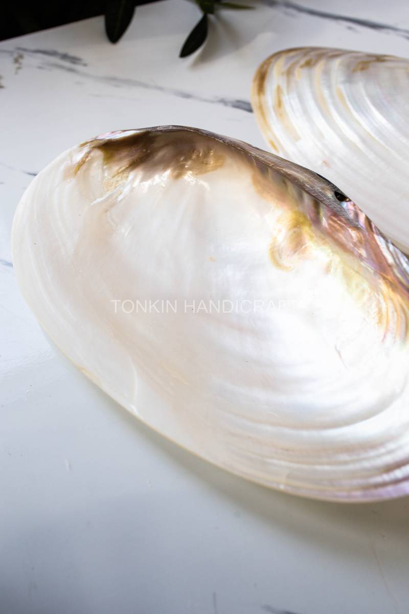 So Mother of Pearl Medium Seashell Plate