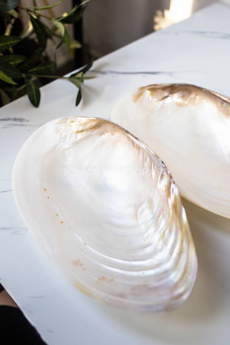 So Mother of Pearl Medium Seashell Plate