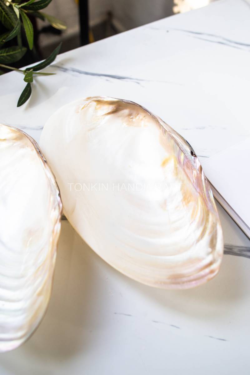 So Mother of Pearl Medium Seashell Plate